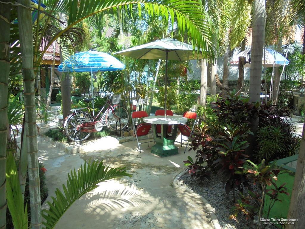 Swiss Ticino Guesthouse & Restaurant Mae Wang Exteriör bild